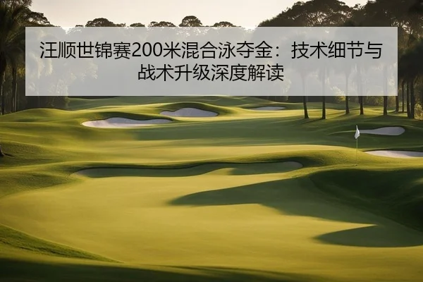 汪顺世锦赛200米混合泳夺金：技术细节与战术升级深度解读